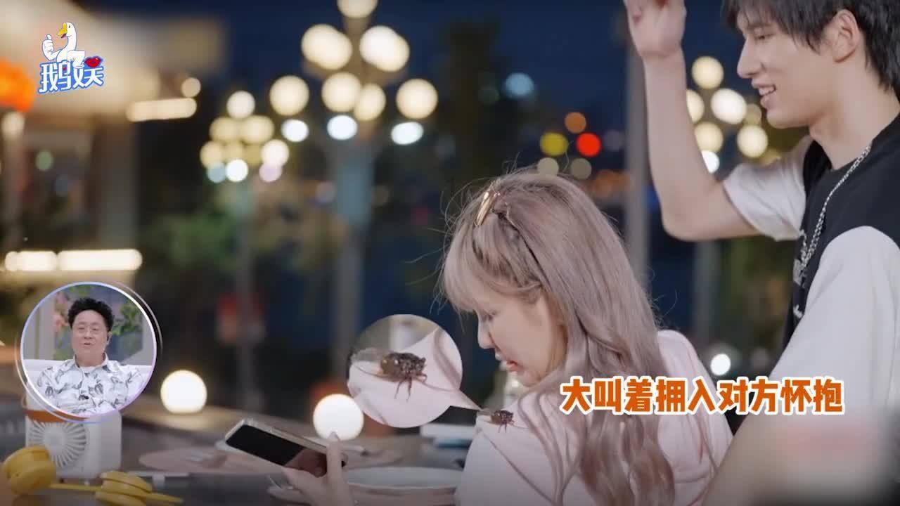 我修的可能是假仙