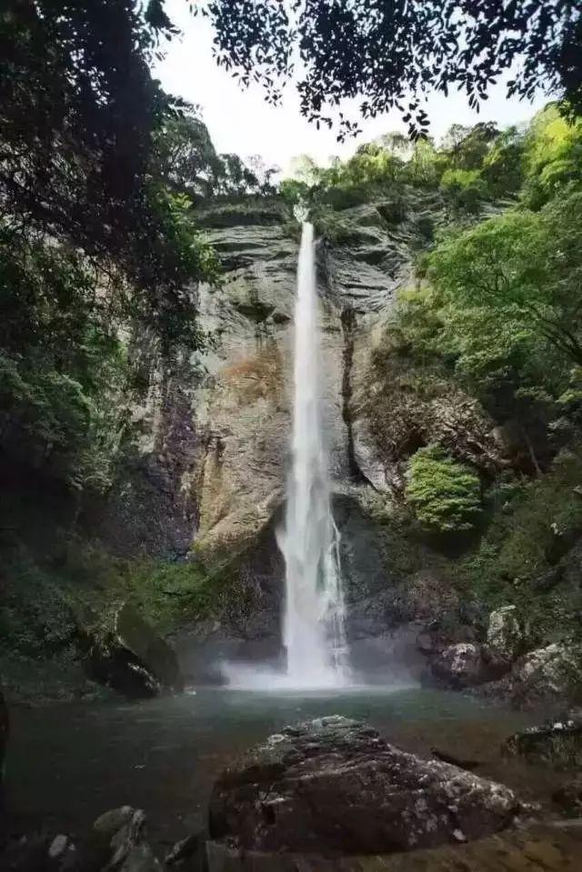 相扑选手大跳跃