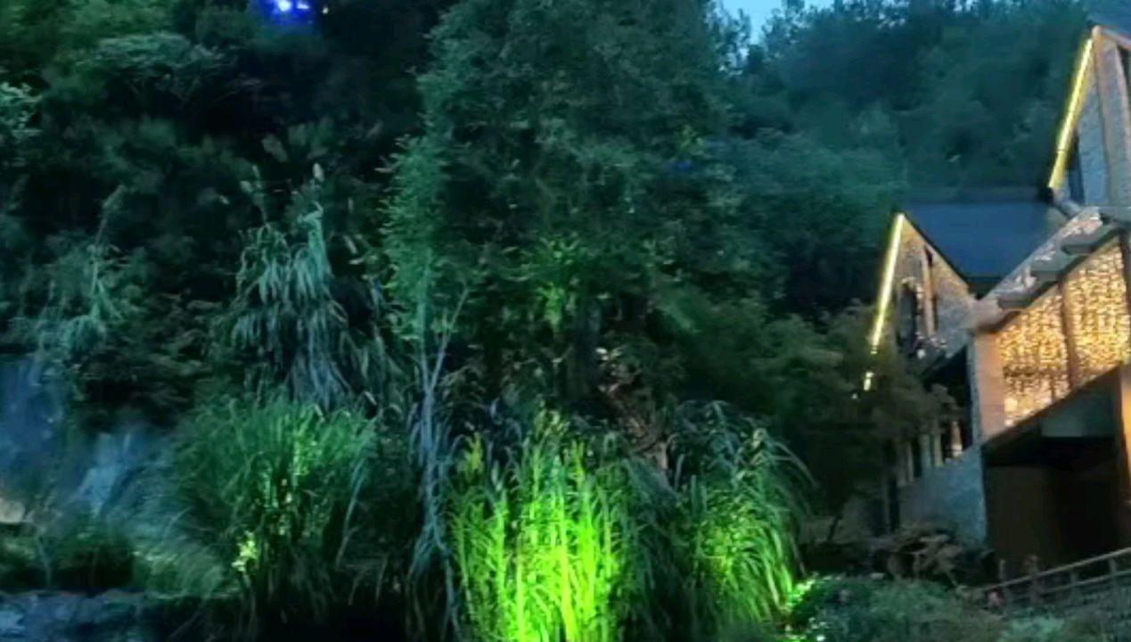 夏天的新娘